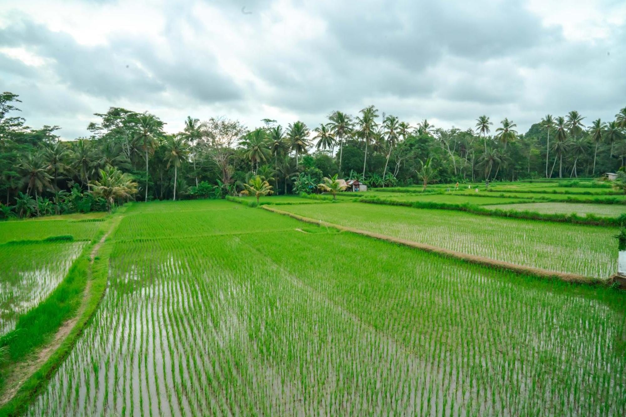 Tulus Hati Ubud Retreat Exterior photo